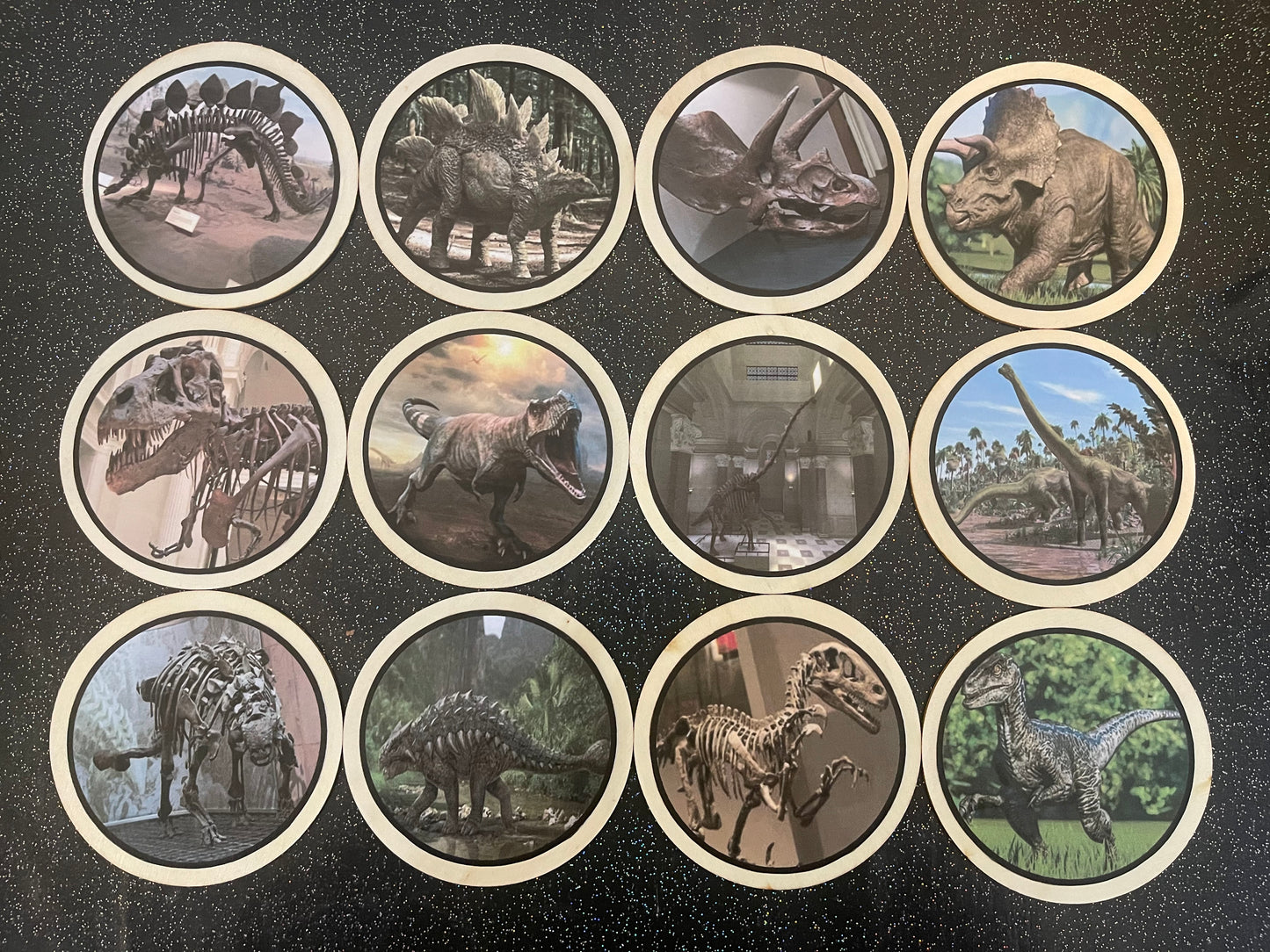 Dinosaur Learning disks