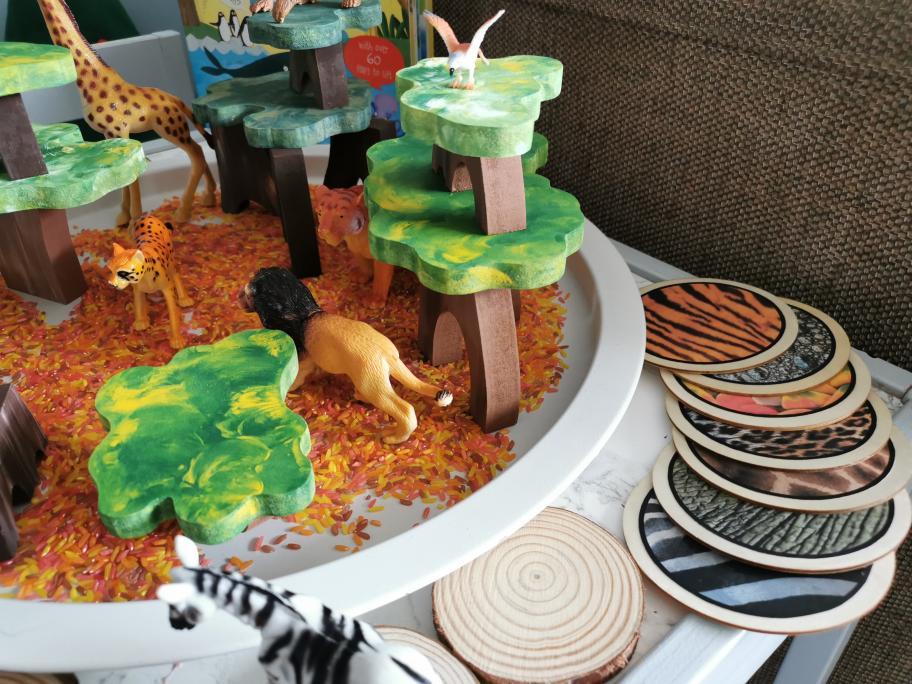 Animal Print Learning Disks