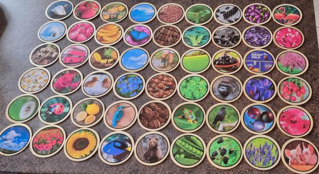 Colours learning disks