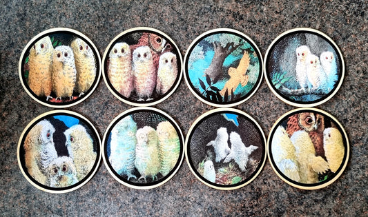 Owl Babies Learning Disks