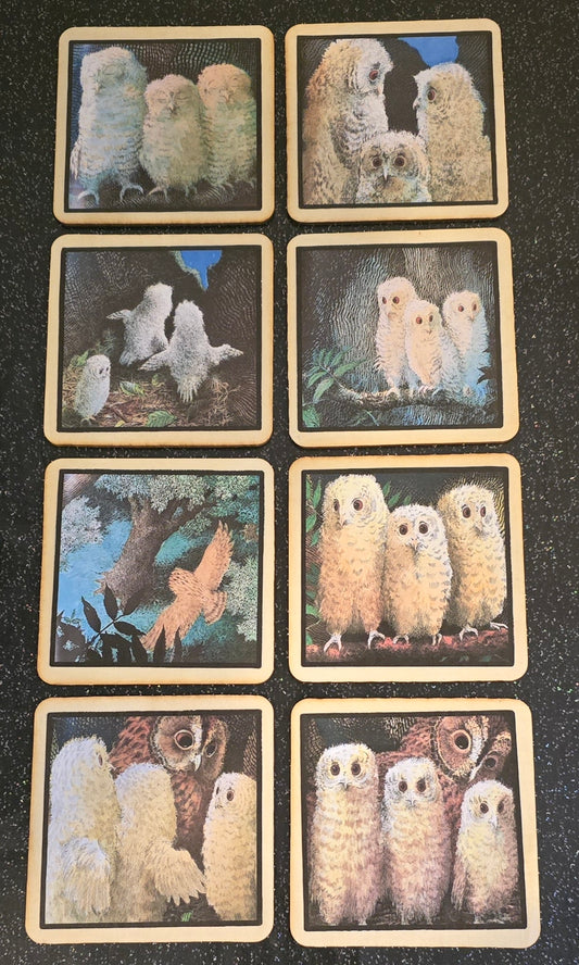 Owl Babies Learning Disks