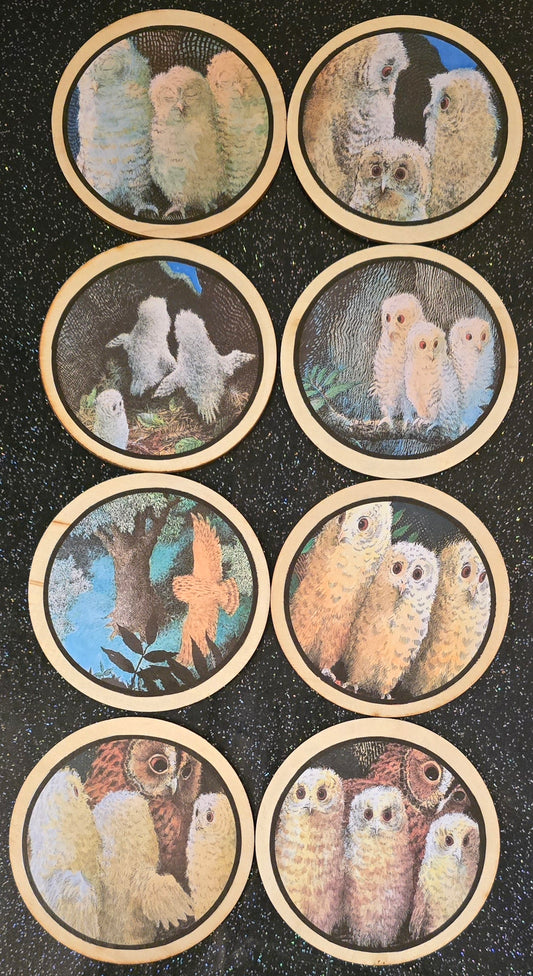 Circle Owl Babies Learning Disks