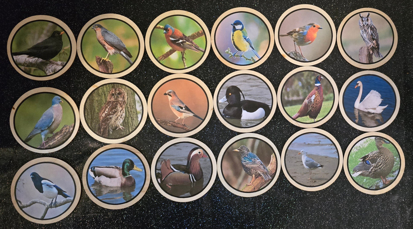 Wild Birds learning disks