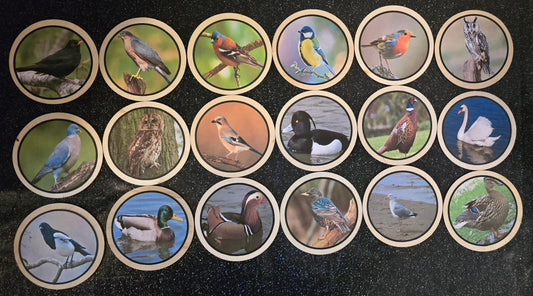 Wild Birds learning disks