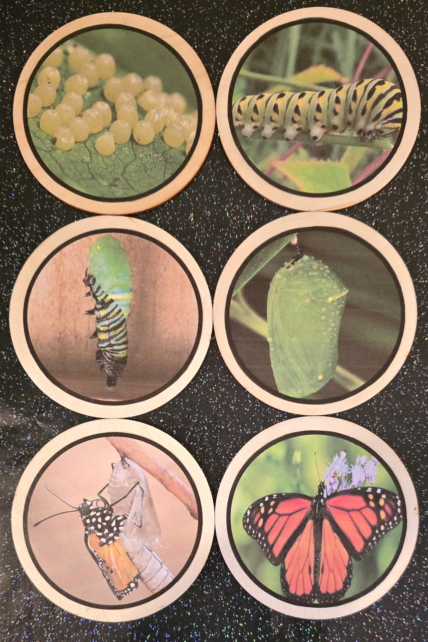 Life cycles learning disks