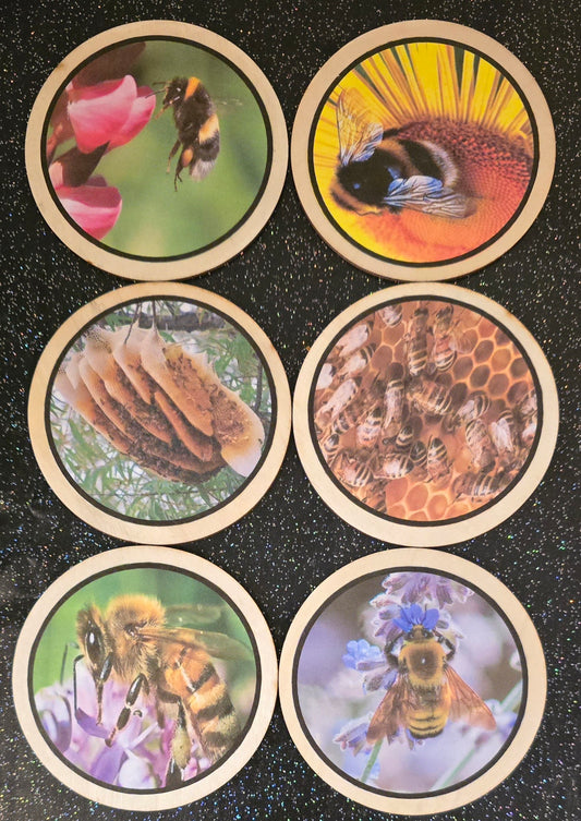 Bee’s Learning disks