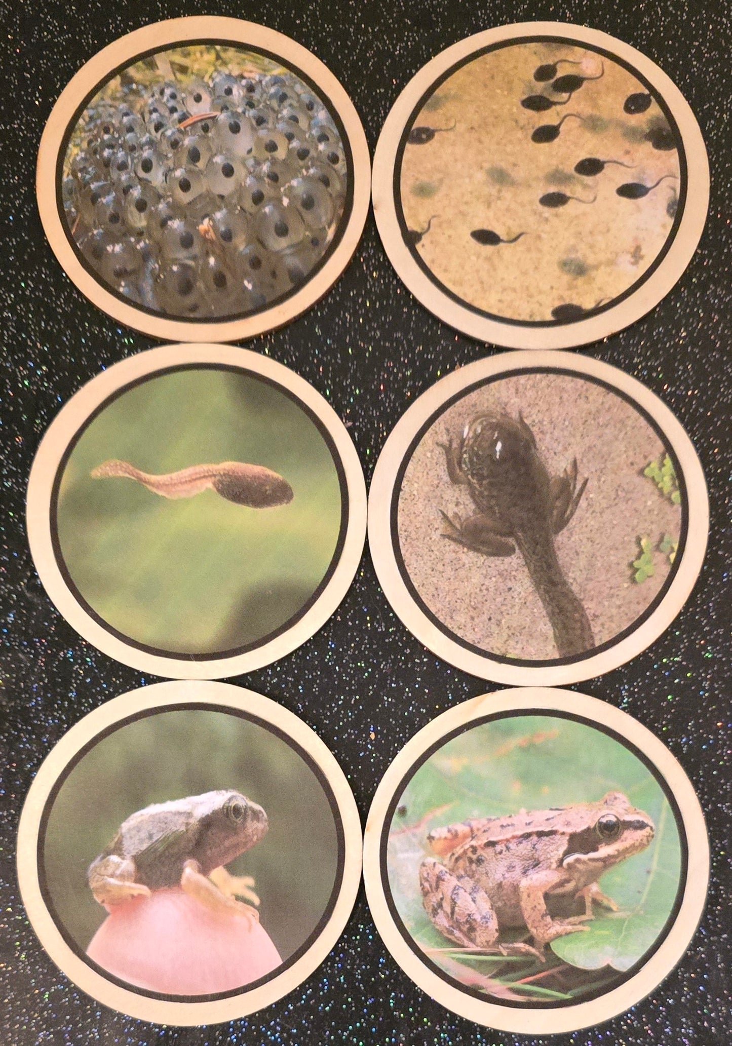 Life cycles learning disks