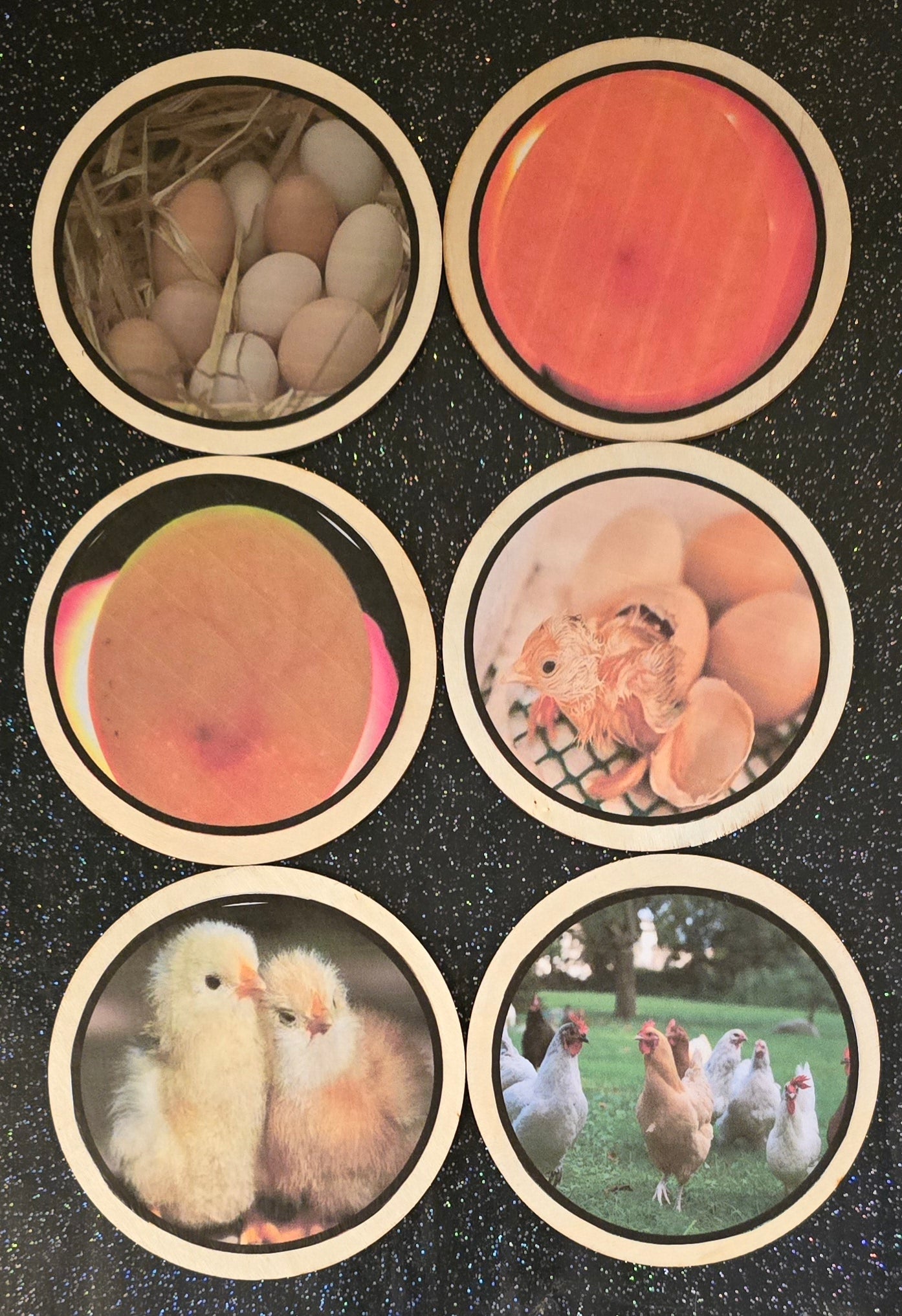 Life cycles learning disks