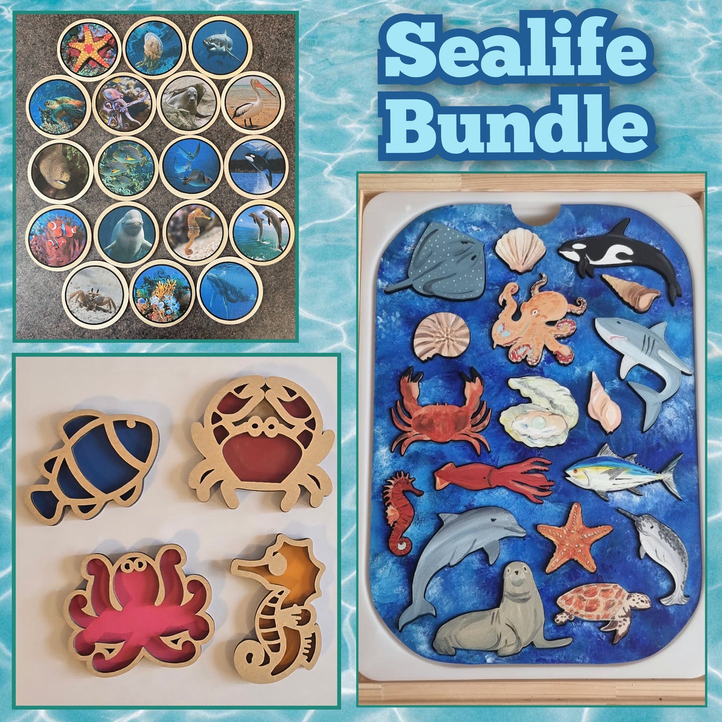 Sealife Bundle
