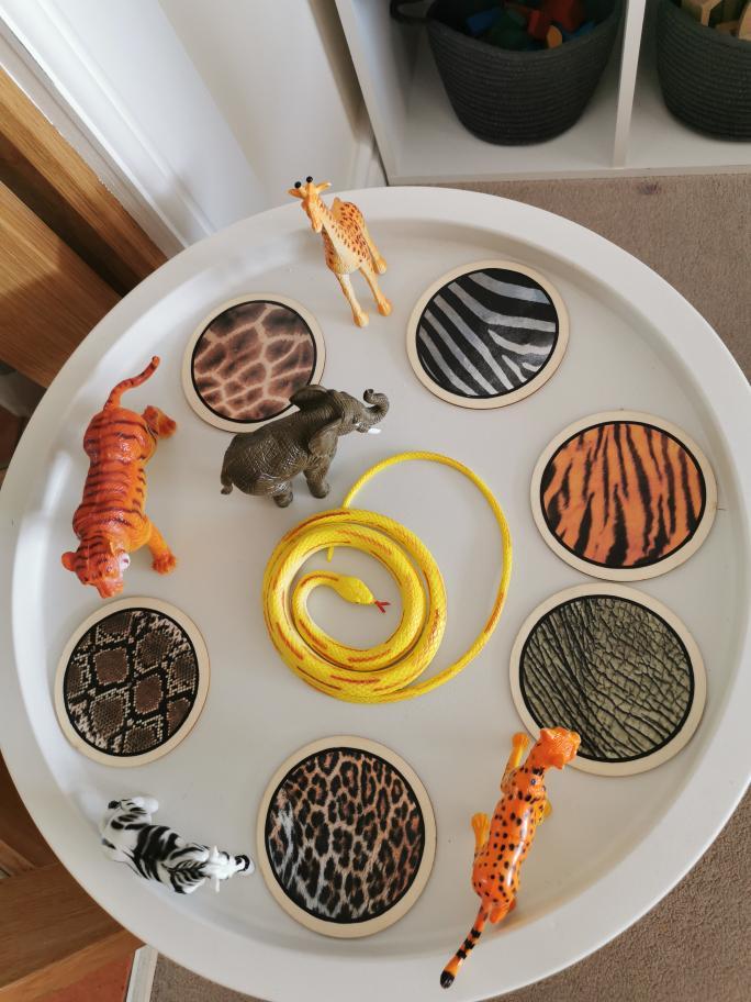 Animal Print Learning Disks