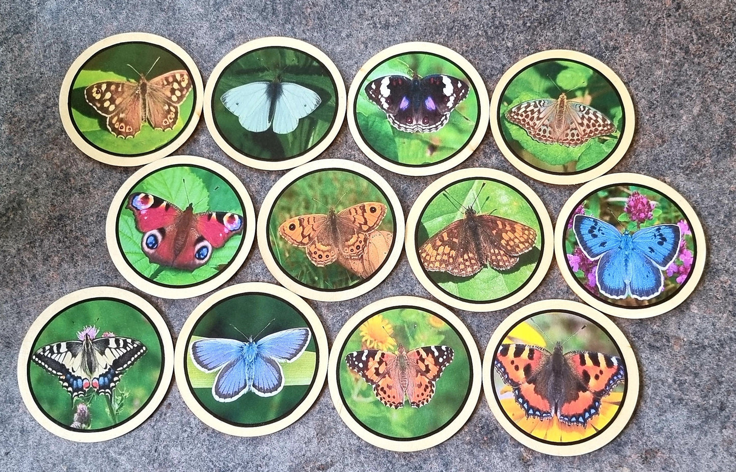 Butterfly learning disks