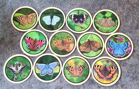 Butterfly learning disks