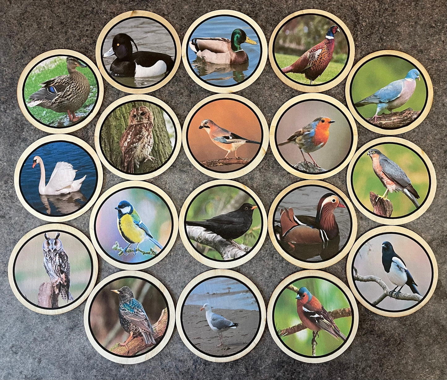 Wild Birds learning disks