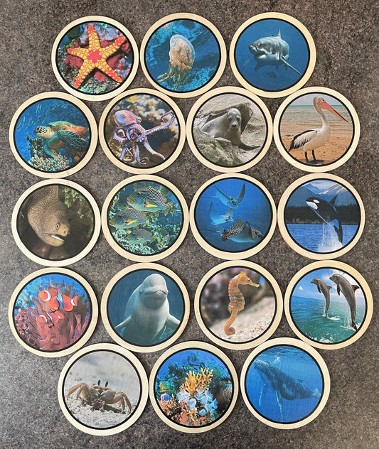 Sealife learning disks