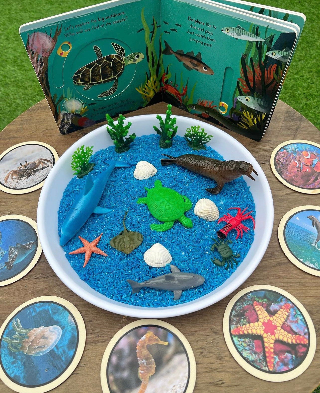 Sealife learning disks