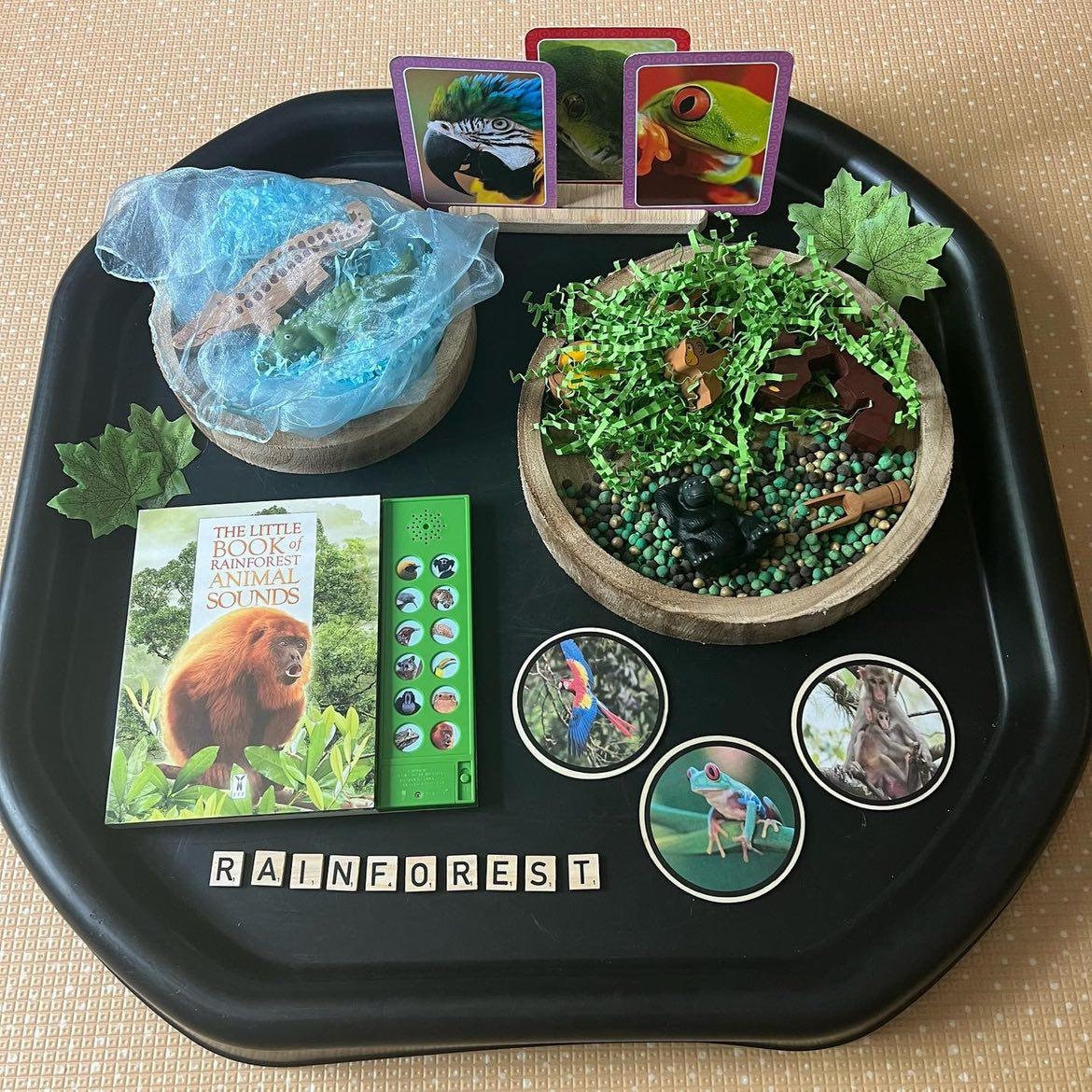 Wild animal learning disks