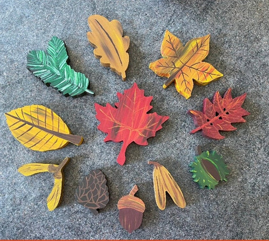 Small Autumn Leaves and Seeds