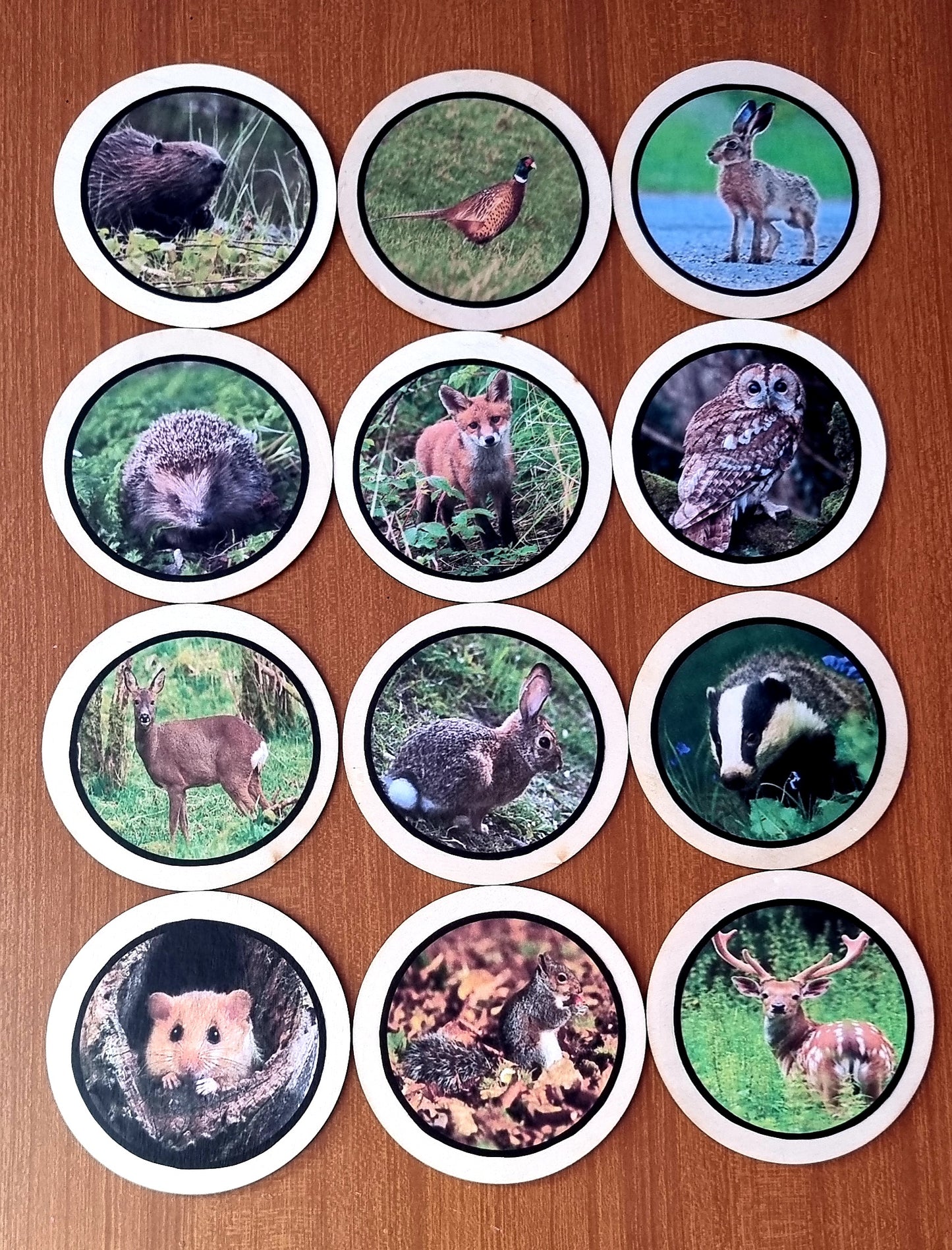 Woodland Animals Learning Disks