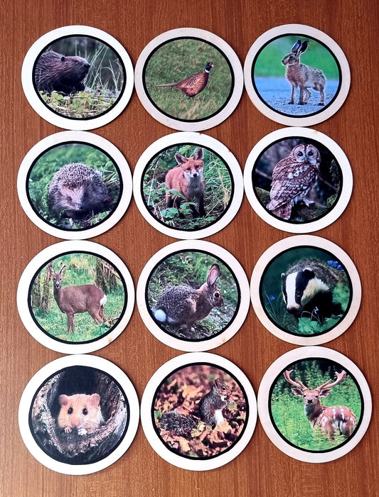 Woodland Animals Learning Disks